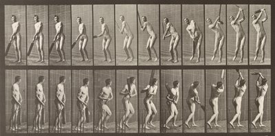 Giocatore di cricket, tavola 291 da 